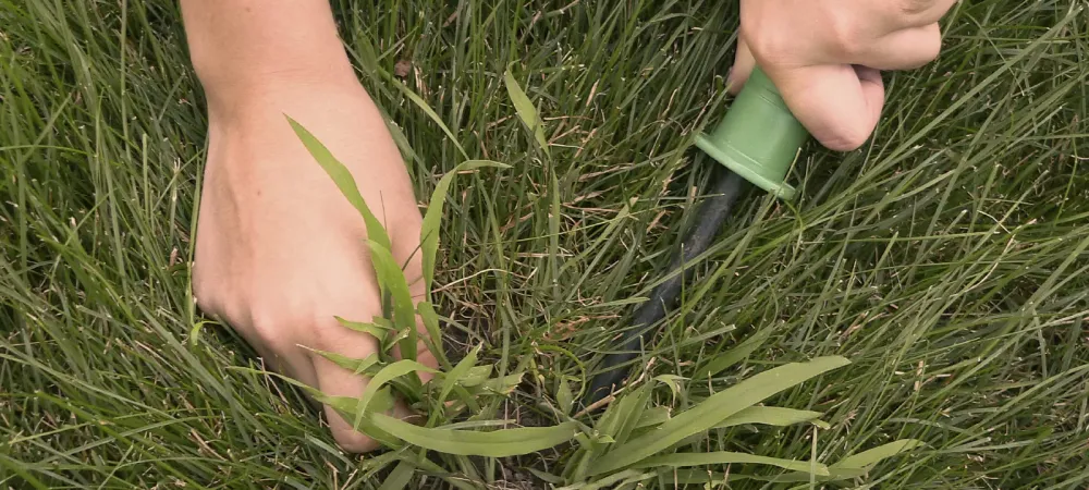 person pulling weeds with tools