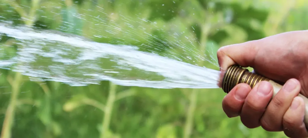 person with water hose